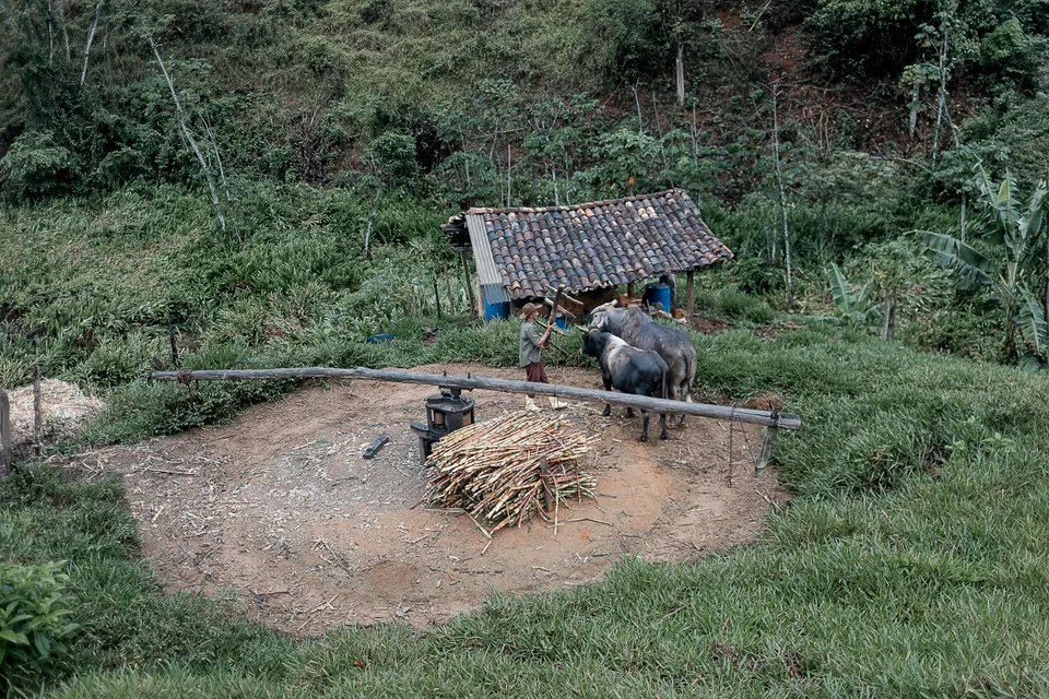 Idário Cachoeira — fotografia 5 de 27