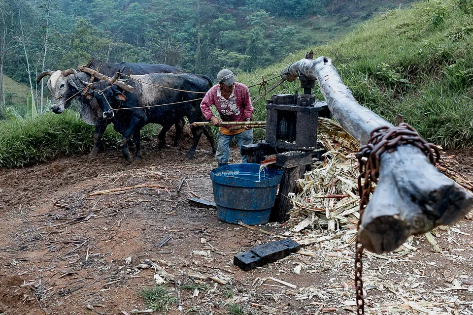 Idário Cachoeira — fotografia 7 de 27